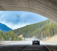 BC-Tour-with-BMWCCBC-and-BMWCSA-59