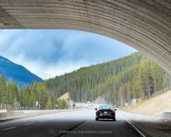 BC-Tour-with-BMWCCBC-and-BMWCSA-59