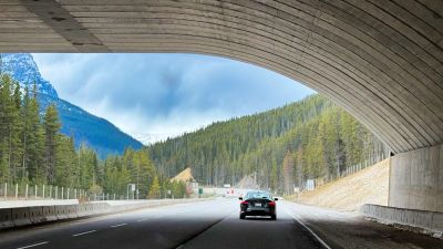 BC-Tour-with-BMWCCBC-and-BMWCSA-59