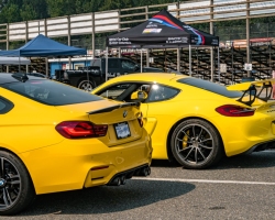 DSC_3084