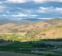 Osoyoos-Wine-Tour-2024-18