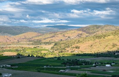 Osoyoos-Wine-Tour-2024-18