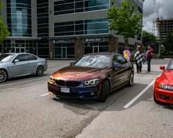 DSC_7454