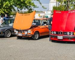 3_DSC_7768