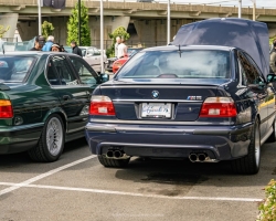 DSC_4846