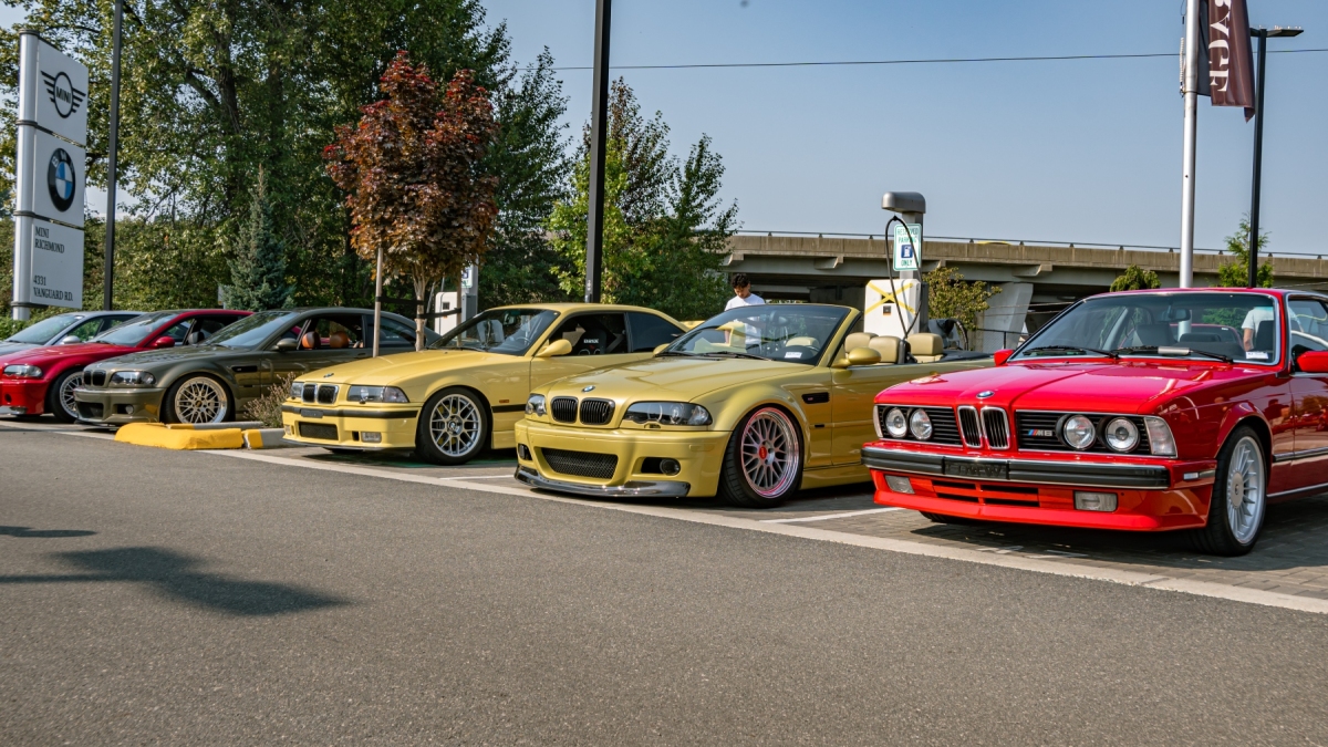 DSC_3150