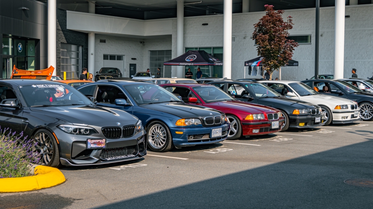 DSC_3164