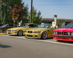 DSC_3150