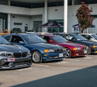 DSC_3164