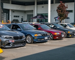 DSC_3164