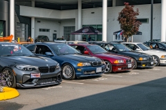 DSC_3164
