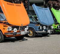 DSC_5212