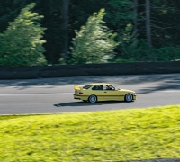 DSC_6667