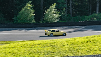 DSC_6667